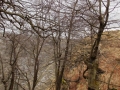 DSCN0060.jpg