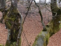 DSCN0061.jpg
